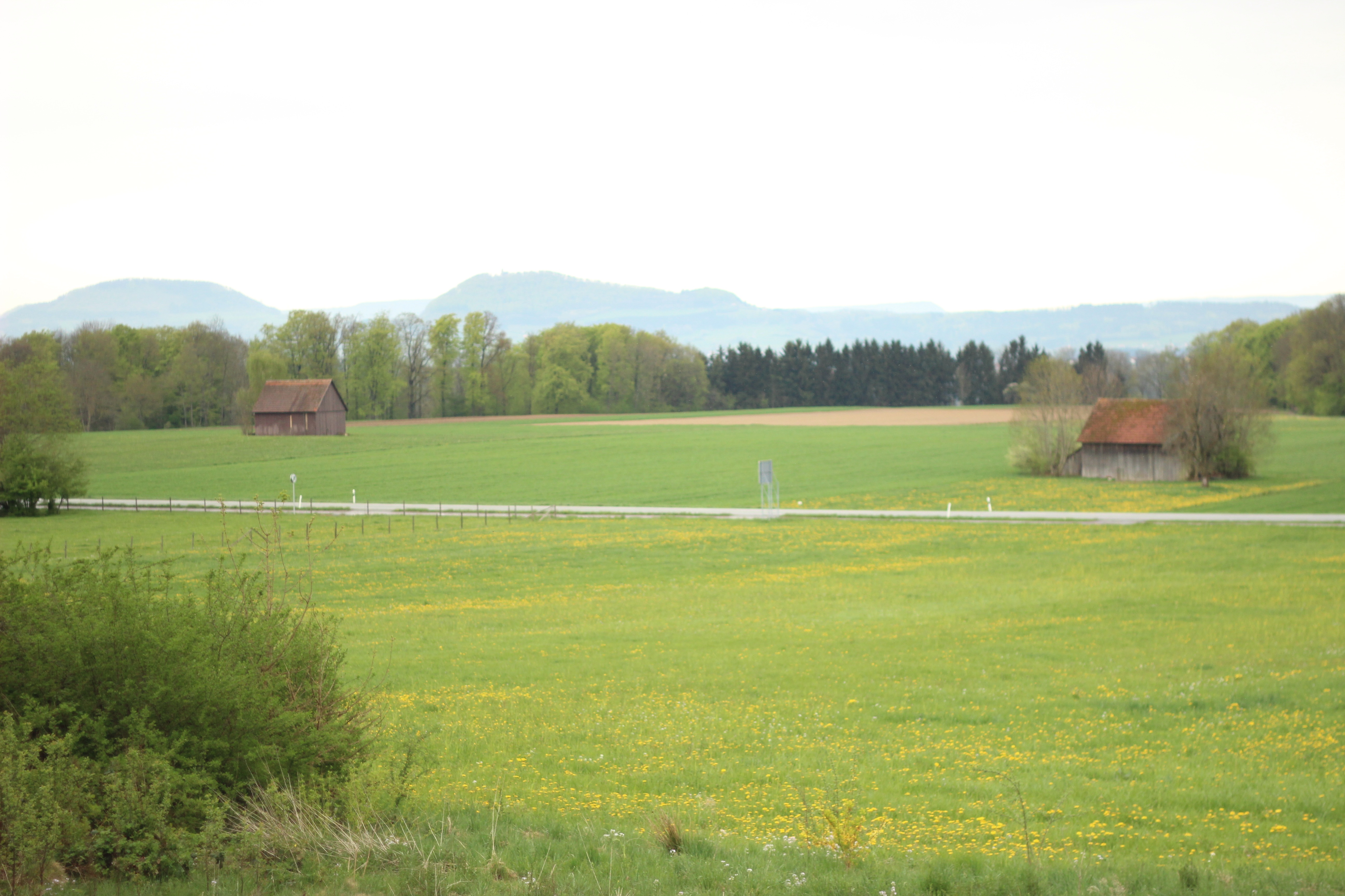 Blogparade Heimatorte - Eschach Ostalbkreis